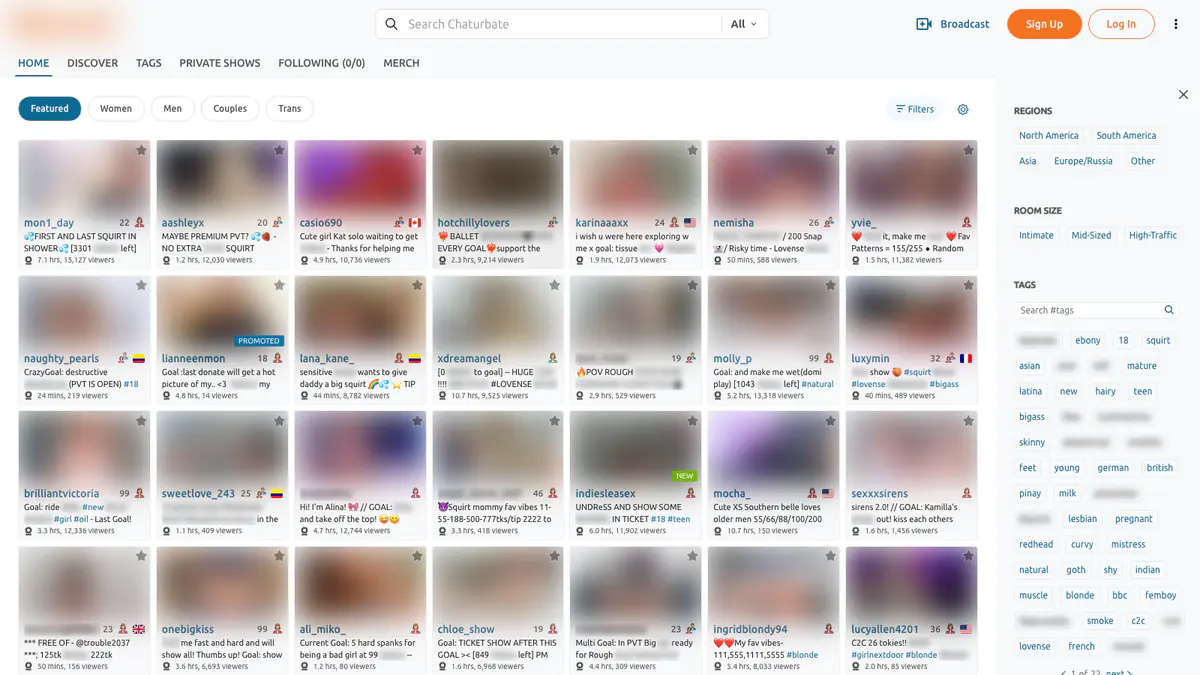 Chaturbate Video Downloader browser extension screenshot 2