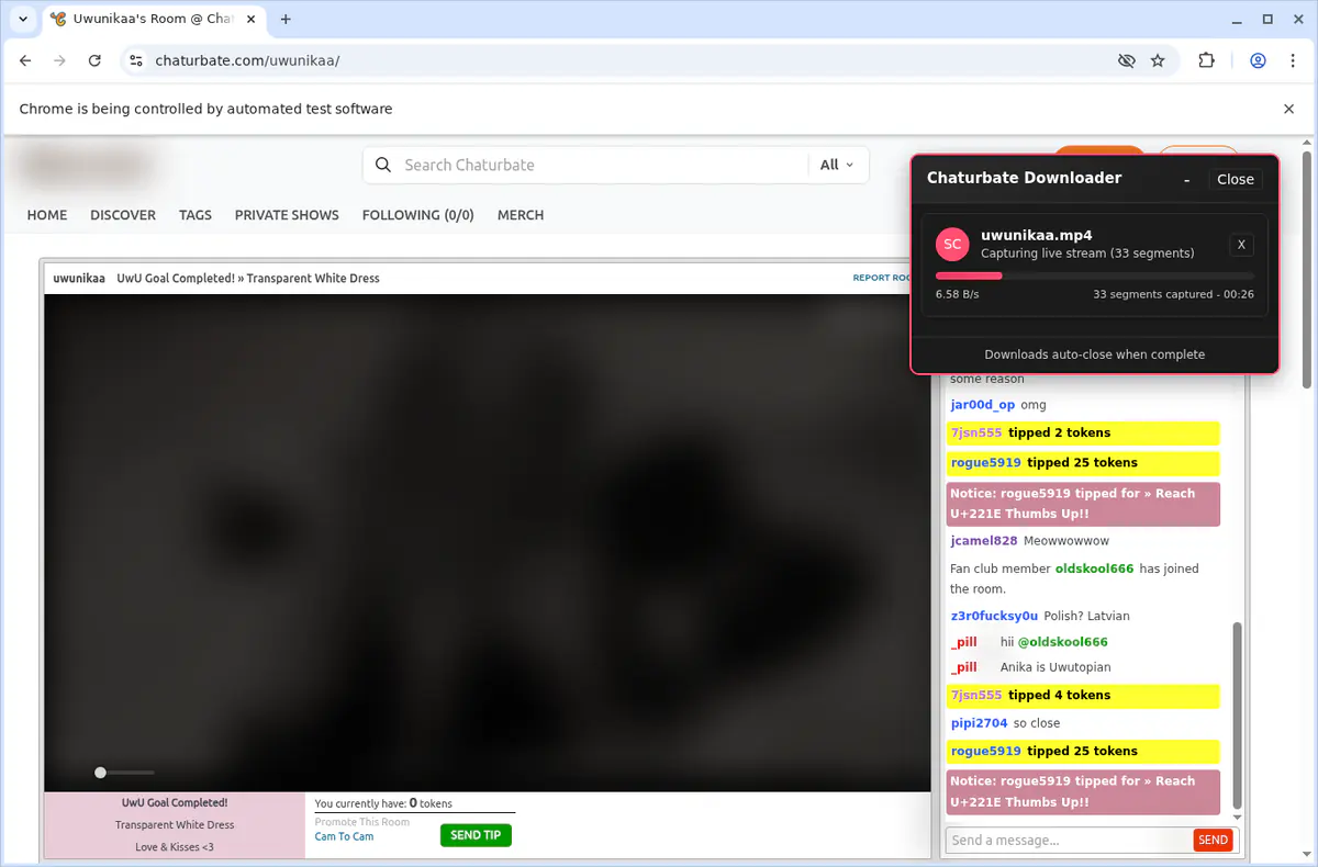 Chaturbate Video Downloader browser extension screenshot 3